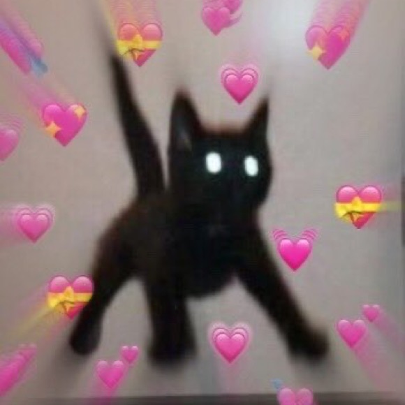 Meet your Posher, Denim - Picture 1 of 1